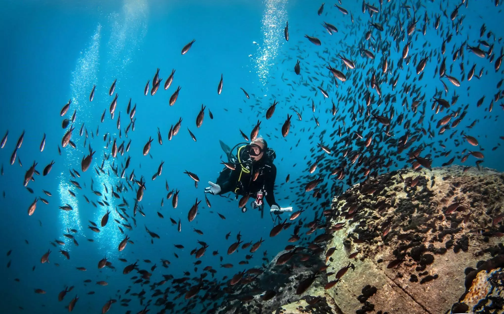 scuba diving in Halkidiki around Ammouliani island with Athos Scuba Diving Center