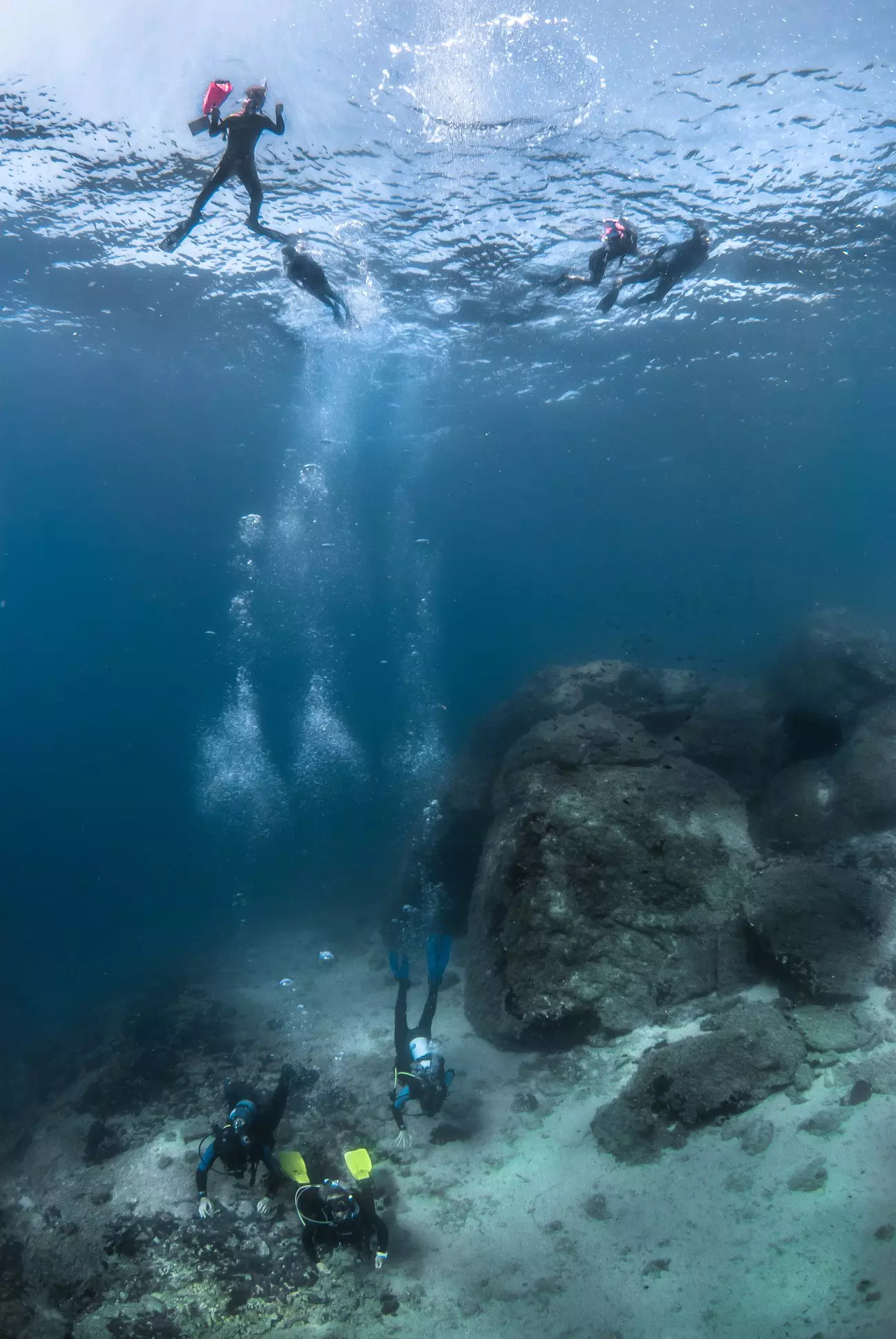 snorkeling trips at ammpuliani island